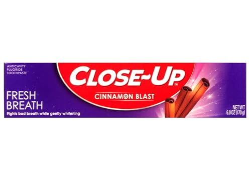 Close-Up Cinnamon Anticavity Flouride Toothpaste 6 Ounce (Pack of 6)