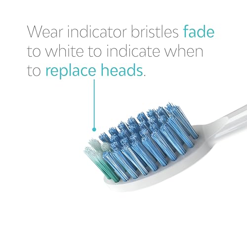 TAO Clean Daily Care Whitening Replacements Heads - White - 2 Pack