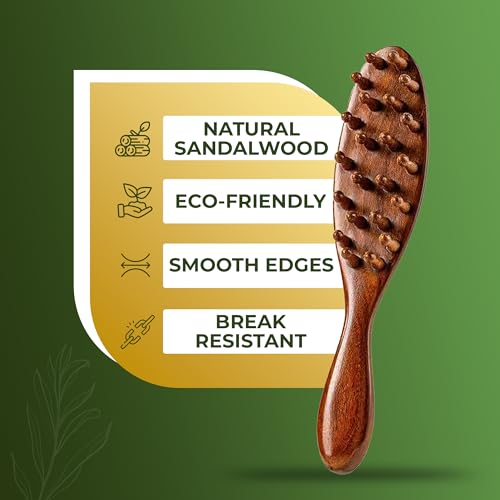 Locsanity Natural Sandalwood Locs Brush – Ergonomic Dreadlock Detangling Hairbrush with Natural Bristles for Twists & Loc Maintenance – Compact Travel Size & Durable Styling Tool for Men & Women