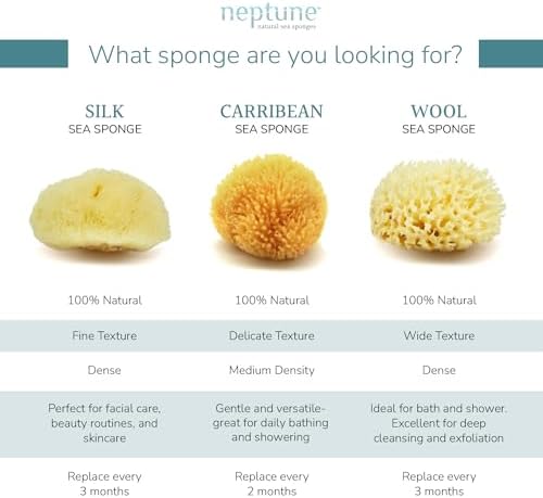 Neptune Caribbean Sea Sponge, Hand Cut, Large, Approx. 6-7 inches