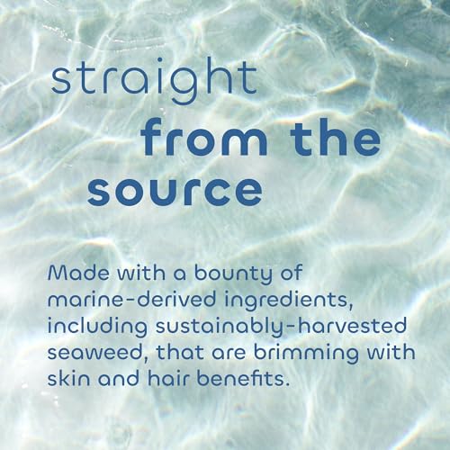 Seaweed Bath Co. Bubbling Muscle Soak, Tea Tree Lavender Scent, 12 Ounce, Sustainably Harvested Seaweed, French Sea Clay, Arnica