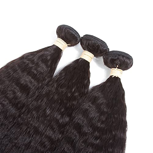 Kinky Straight Bundles, Kerriana 20 22 24 Inch Human Hair Bundles 100% Unprocessed Brazilian 3 bundles For Black Women Natural Black Color