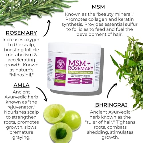 Qhemet Biologics MSM + Rosemary Scalp Nutrients Balm | Scalp Food for Hair Growth | MSM, Rosemary, Bhringraj, Castor Oil & Coconut Oil | For Dry Scalp, Thinning & Slow Growth | Vegan (4 oz)