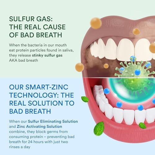 SmartMouth Clinical DDS 2-Bottle Activated Mouthwash with Pumps - Gum Health Support for Adults - 12-Hour Fresh Breath Mouthwash - Clean Mint Flavor, 32 fl oz (16 fl oz per Bottle)