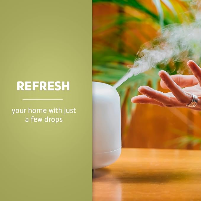 De La Cruz Eucalyptus Essential Oil Aromatherapy for Diffuser or Humidifier 100% Pure Steam Distilled Eucalyptus Globulus - 2 Fl Oz (Pack of 6)