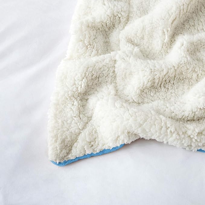 IR Imperial Rooms Sherpa Fleece Throw Blanket Twin Size for Couch - Thick and Warm Fluffy Light Blue Blankets for Winter, Soft and Fuzzy Twin Blanket for Bed, 60x80 Inches