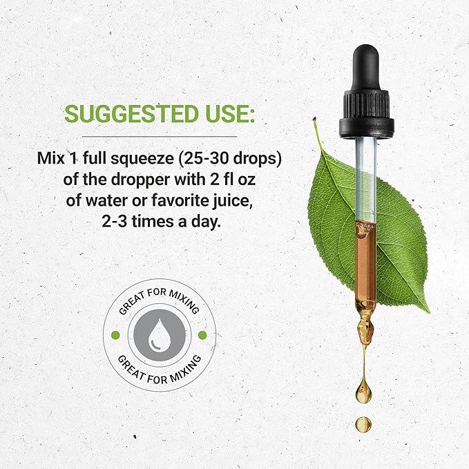 Secrets of the Tribe Grape Seed Tincture Alcohol-Free Liquid Extract, Grape (Vitis Vinifera) Dried Seed (2x4 FL OZ)