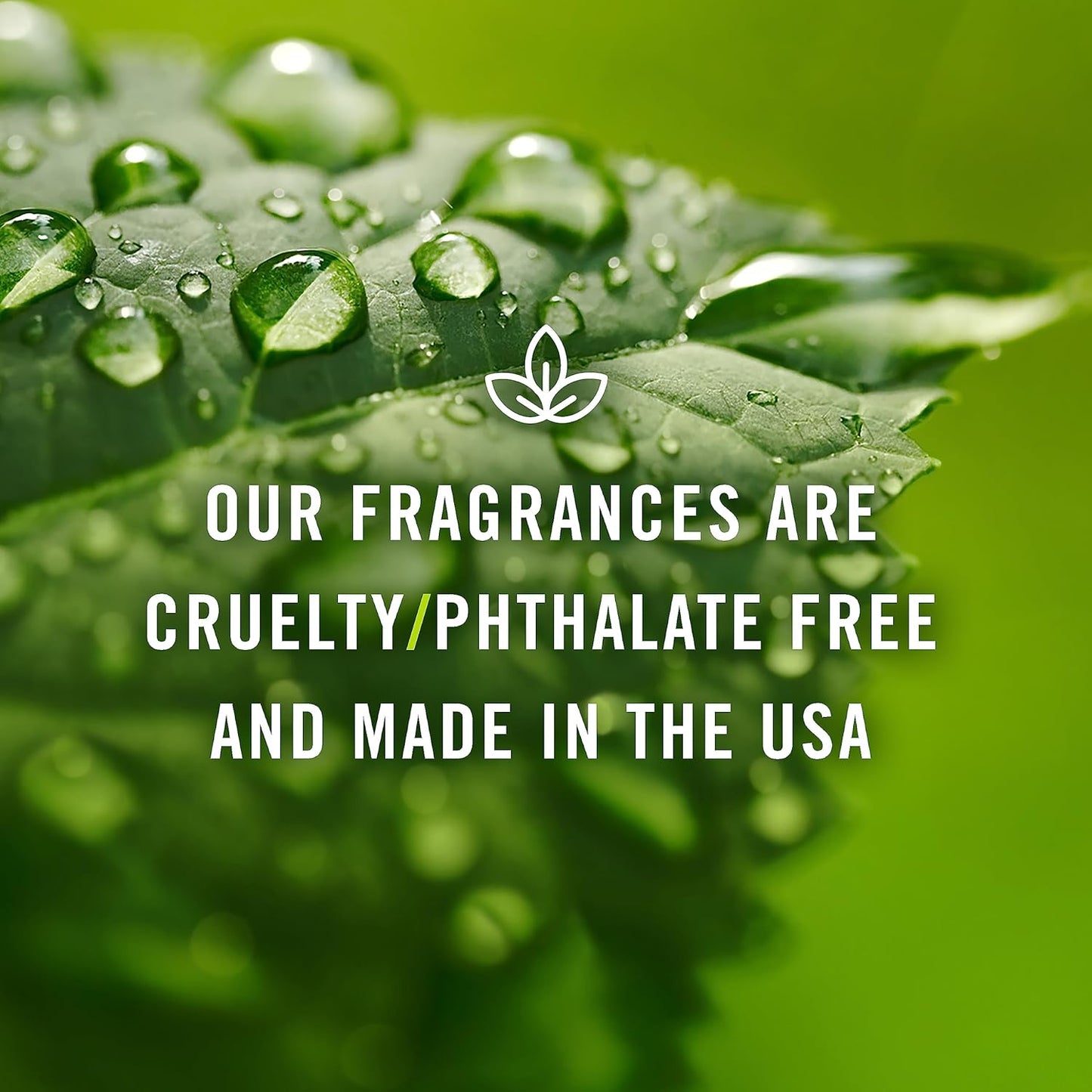 P&J Fragrance Oil - Banana Scent 30ml - Candle Scents, Soap Making, Diffuser Oil, Fresh Scents